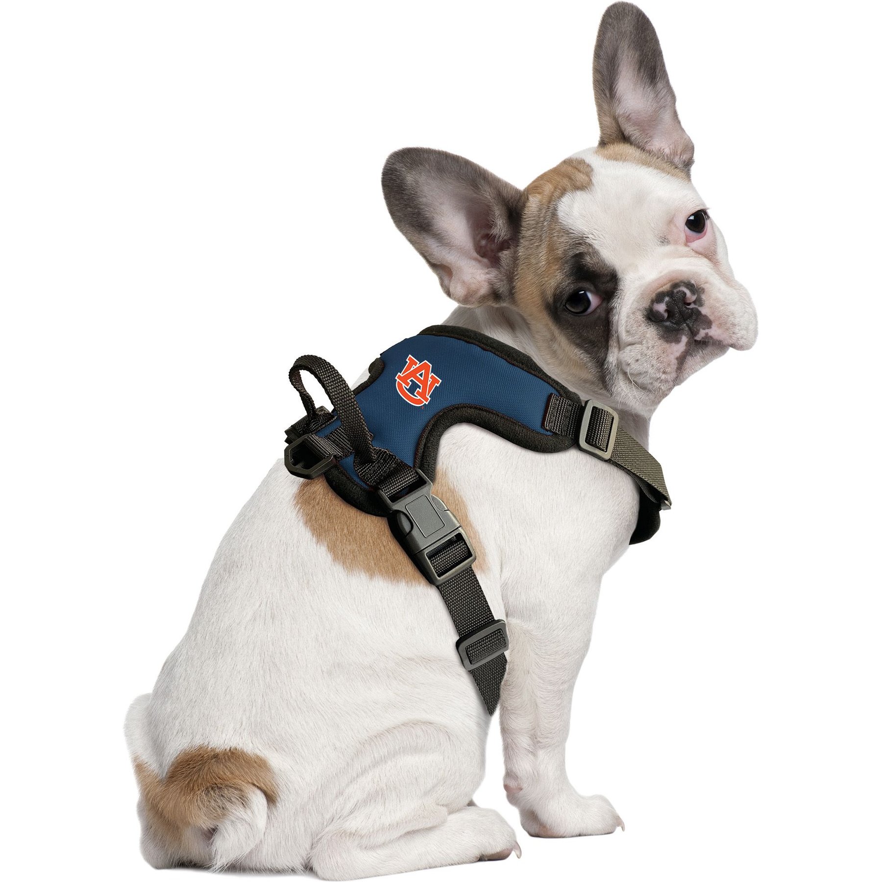 Littlearth NCAA Front Clip Dog Harness, Auburn Tigers, X-Large