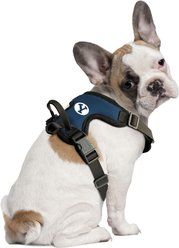 Littlearth NCAA Front Clip Dog Harness, BYU Cougars, Small
