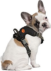Littlearth NCAA Front Clip Dog Harness, Clemson Tigers, Small
