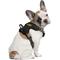 Show in main carousel: Littlearth NCAA Front Clip Dog Harness, LSU Tigers, X-Large slide 1 of 6