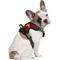 Show in main carousel: Littlearth NCAA Front Clip Dog Harness, Minnesota Golden Gophers, X-Small slide 1 of 6