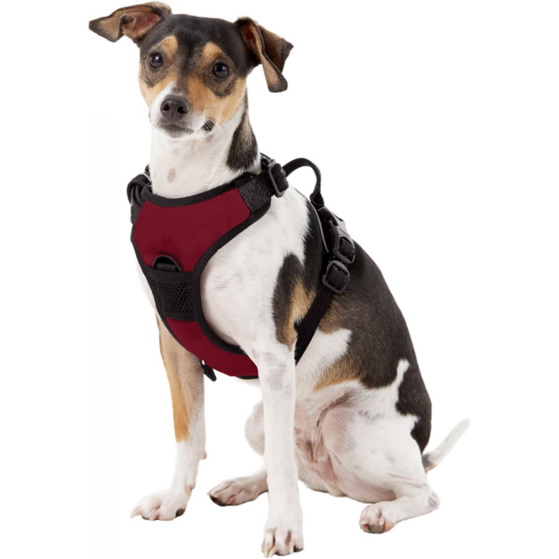 Littlearth NCAA Front Clip Dog Harness, Mississippi State Bulldogs, Small
