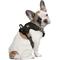 Show in main carousel: Littlearth NCAA Front Clip Dog Harness, Missouri Tigers, Small slide 1 of 6
