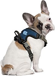 Littlearth NCAA Front Clip Dog Harness, North Carolina Tar Heels, X-Large
