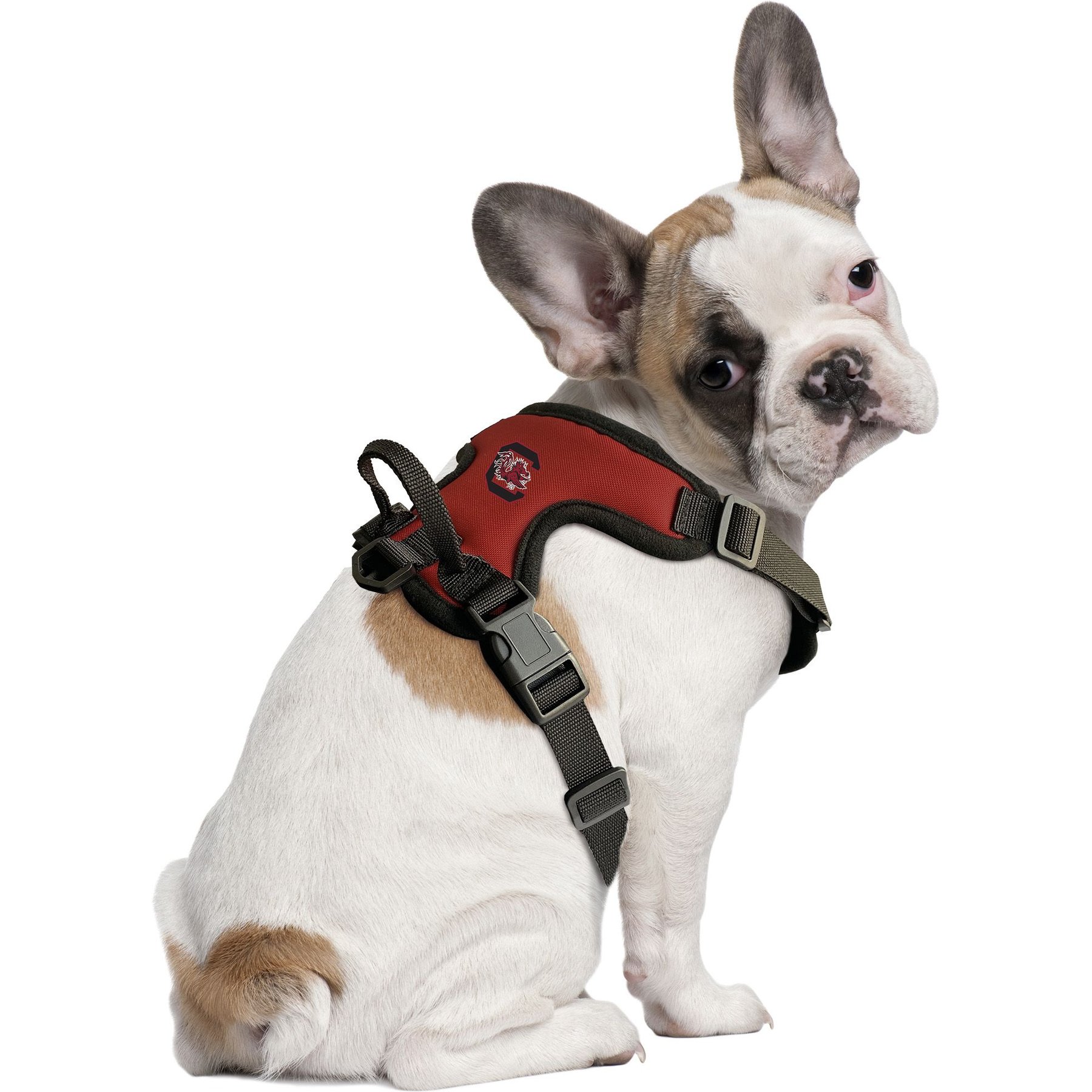 Littlearth NCAA Front Clip Dog Harness, South Carolina Fighting Gamecocks, Small