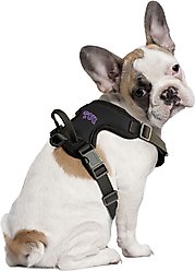 Littlearth NCAA Front Clip Dog Harness, TCU Horned Frogs, Small
