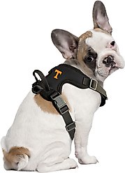 Littlearth NCAA Front Clip Dog Harness, Tennessee Volunteers, Small