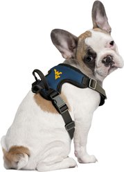Littlearth NCAA Front Clip Dog Harness, West Virginia Mountaineers, Medium