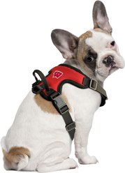 Littlearth NCAA Front Clip Dog Harness, Wisconsin Badgers, X-Large