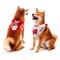 Show in main carousel: Littlearth NCAA Home & Away Bandana Set for Dogs & Cats, Alabama Crimson Tide, Large slide 1 of 5