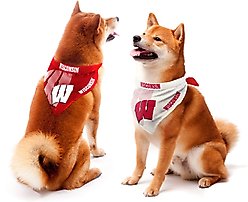 Littlearth NCAA Home & Away Bandana Set for Dogs & Cats, Alabama Crimson Tide, Medium