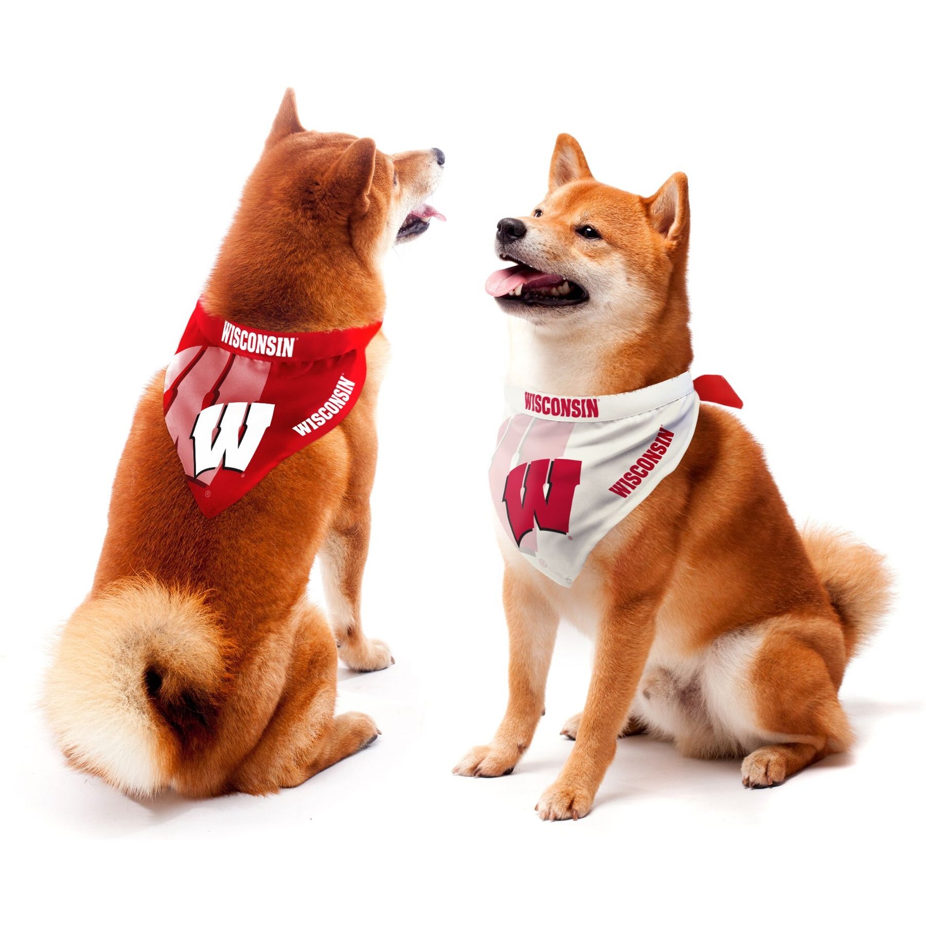 Littlearth NCAA Home & Away Bandana Set for Dogs & Cats, Alabama Crimson Tide, Medium
