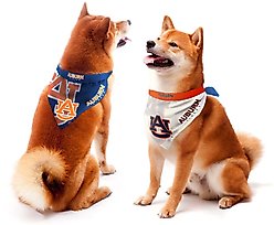 Littlearth NCAA Home & Away Bandana Set for Dogs & Cats, Auburn Tigers, Large