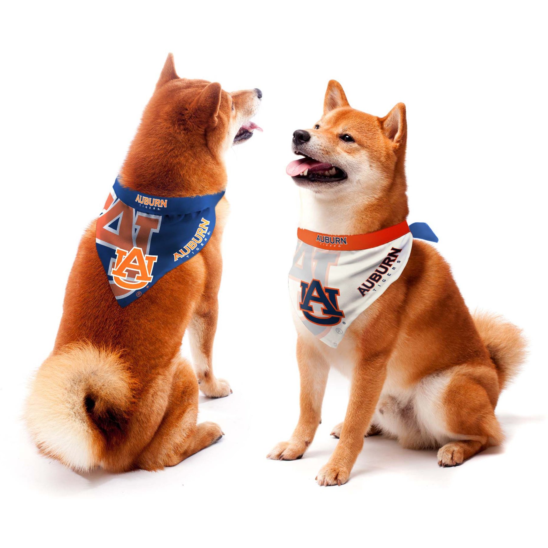 Littlearth NCAA Home & Away Bandana Set for Dogs & Cats, Auburn Tigers, Medium