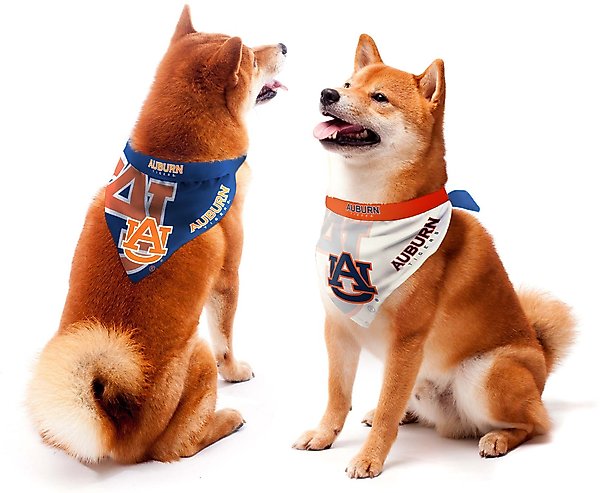 Show full view: Littlearth NCAA Home & Away Bandana Set for Dogs & Cats, Auburn Tigers, Small slide 1 of 5