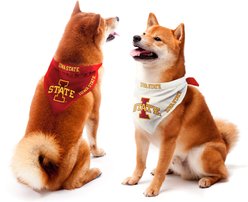 Littlearth NCAA Home & Away Bandana Set for Dogs & Cats, Iowa State Cyclones, Small