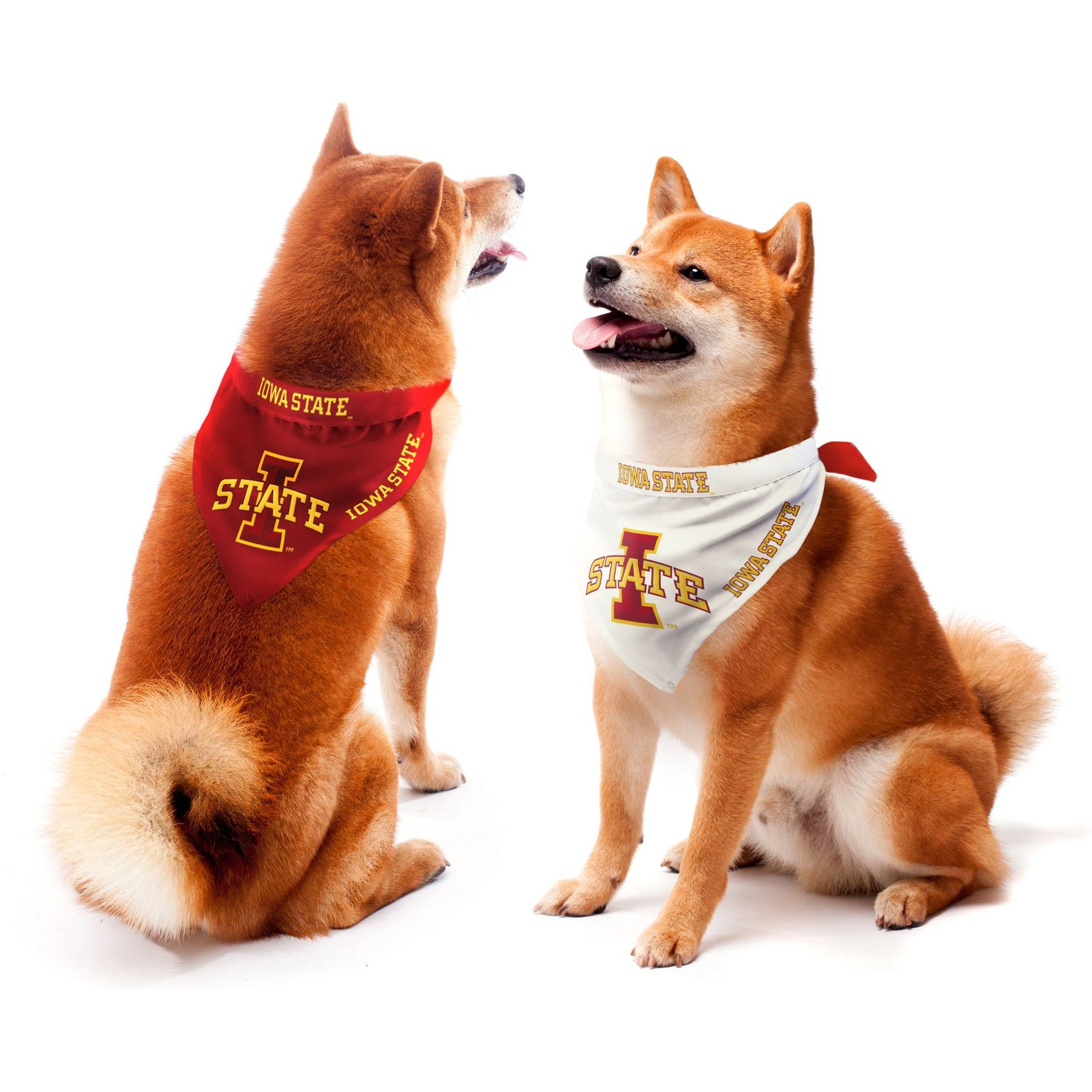Littlearth NCAA Home & Away Bandana Set for Dogs & Cats, Iowa State Cyclones, Small