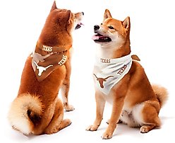 Littlearth NCAA Home & Away Bandana Set for Dogs & Cats, Texas Longhorns, Large