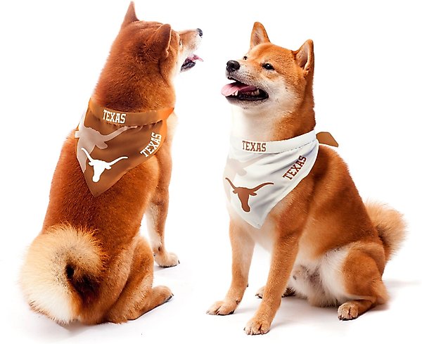 Show full view: Littlearth NCAA Home & Away Bandana Set for Dogs & Cats, Texas Longhorns, Large slide 1 of 5