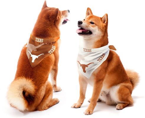 Show full view: Littlearth NCAA Home & Away Bandana Set for Dogs & Cats, Texas Longhorns, Large slide 1 of 5