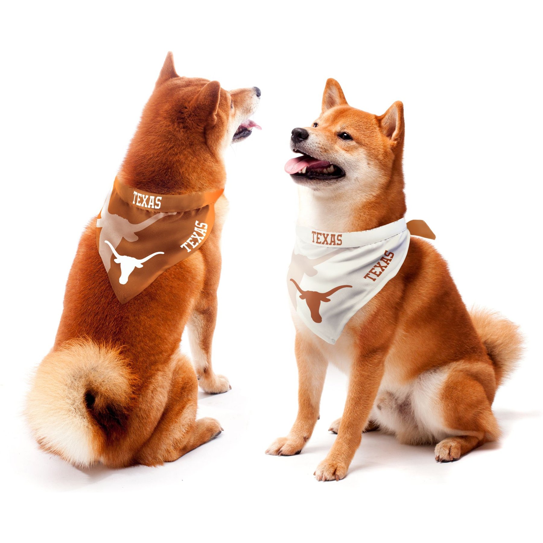 Littlearth NCAA Home & Away Bandana Set for Dogs & Cats, Texas Longhorns, Small