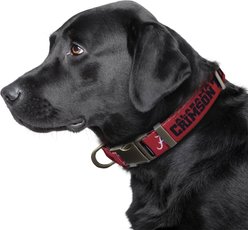 Littlearth NCAA Premium Dog & Cat Collar, Alabama Crimson Tide, Large slide 2 of 4