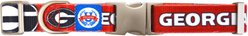 Littlearth NCAA Premium Dog & Cat Collar, Georgia Bulldogs, Medium