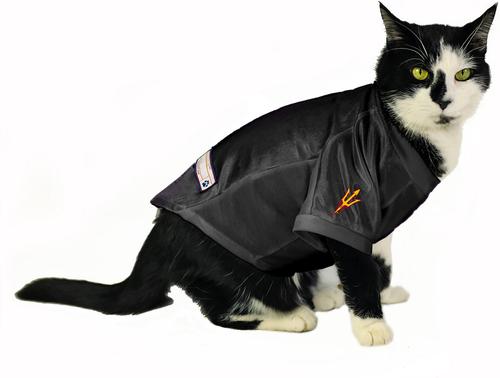 Show full view: Littlearth NCAA Stretch Dog & Cat Jersey, Arizona State Sun Devils, Large slide 5 of 7