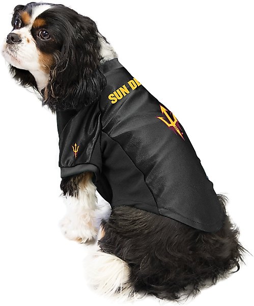 Littlearth NCAA Stretch Dog & Cat Jersey