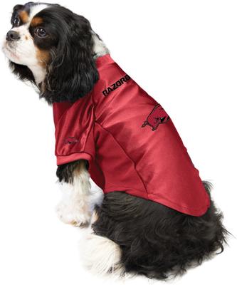 Show full view: Littlearth NCAA Stretch Dog & Cat Jersey, Arkansas Razorbacks, Large slide 3 of 8
