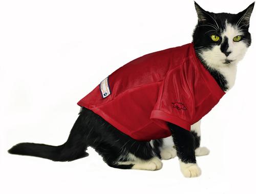 Show full view: Littlearth NCAA Stretch Dog & Cat Jersey, Arkansas Razorbacks, Small slide 5 of 8