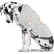 Show in main carousel: Littlearth NCAA Stretch Dog & Cat Jersey, Clemson Tigers, Big Dog slide 3 of 6