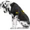 Show in main carousel: Littlearth NCAA Stretch Dog & Cat Jersey, Iowa Hawkeyes, Big Dog slide 3 of 7