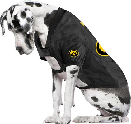 Show full view: Littlearth NCAA Stretch Dog & Cat Jersey, Iowa Hawkeyes, Big Dog slide 3 of 7