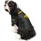 Show in main carousel: Littlearth NCAA Stretch Dog & Cat Jersey, Iowa Hawkeyes, X-Small slide 4 of 9