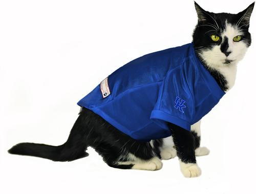 Show full view: Littlearth NCAA Stretch Dog & Cat Jersey, Kentucky Wildcats, Small slide 5 of 8