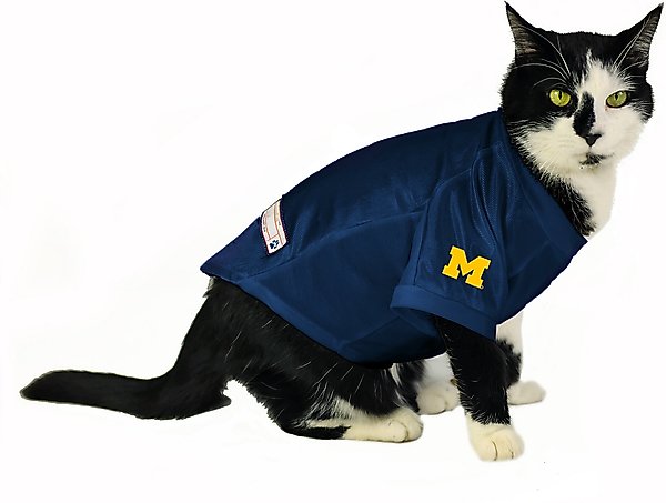 Show full view: Littlearth NCAA Stretch Dog & Cat Jersey, Michigan Wolverines, Large slide 5 of 8
