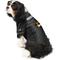 Show in main carousel: Littlearth NCAA Stretch Dog & Cat Jersey, Missouri Tigers, Small slide 4 of 7
