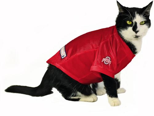 Show full view: Littlearth NCAA Stretch Dog & Cat Jersey, Ohio State Buckeyes, X-Large slide 6 of 9