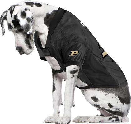 Show full view: Littlearth NCAA Stretch Dog & Cat Jersey, Purdue Boilermakers, Big Dog slide 3 of 7