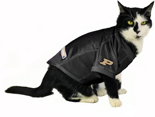 Show full view: Littlearth NCAA Stretch Dog & Cat Jersey, Purdue Boilermakers, Small slide 5 of 8