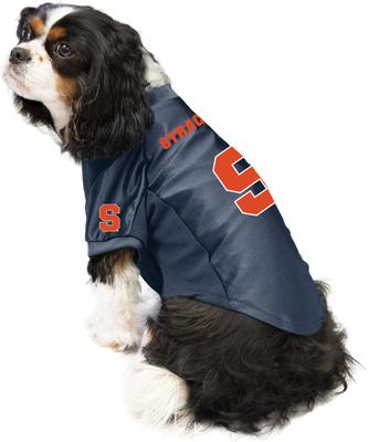 Show full view: Littlearth NCAA Stretch Dog & Cat Jersey, Syracuse Orange, Medium slide 5 of 8