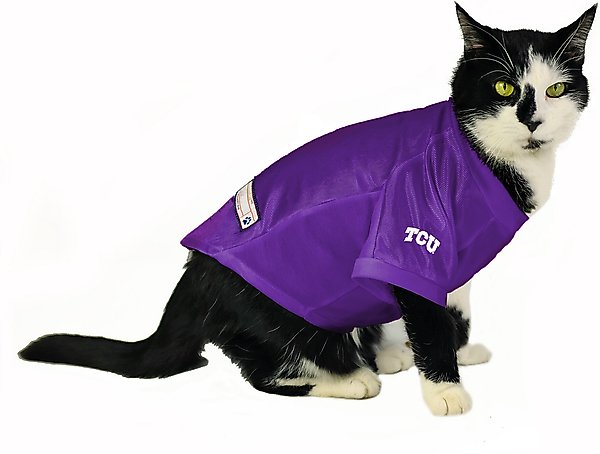 Show full view: Littlearth NCAA Stretch Dog & Cat Jersey, TCU Horned Frogs, X-Small slide 5 of 7