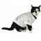 Show in main carousel: Littlearth NCAA Stretch Dog & Cat Jersey, Tennessee Volunteers, Medium slide 5 of 8