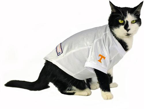 Show full view: Littlearth NCAA Stretch Dog & Cat Jersey, Tennessee Volunteers, X-Small slide 5 of 8