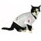 Show in main carousel: Littlearth NCAA Stretch Dog & Cat Jersey, USC Trojans, X-Small slide 6 of 9