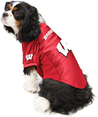 Show full view: Littlearth NCAA Stretch Dog & Cat Jersey, Wisconsin Badgers, X-Large slide 3 of 8