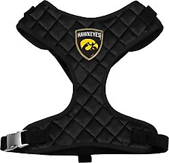 Littlearth NCAA Velvet Dog Harness, Iowa Hawkeyes, Small