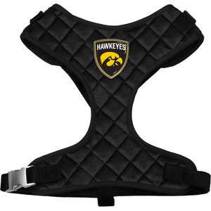Littlearth NCAA Velvet Dog Harness, Iowa Hawkeyes, Small