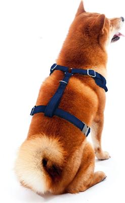 Show full view: Littlearth NCAA Velvet Dog Harness, Michigan Wolverines, Large slide 3 of 7